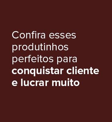 Portal da Representante .